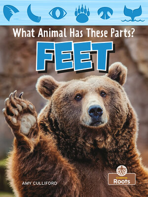 cover image of Feet